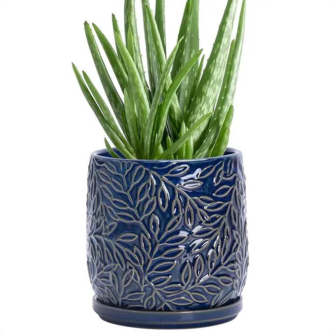 D'vine Dev 5 Inch Embossed Leaves Stoneware Planter Pot with Drainage Hole and Saucer, Midnight Blue, 27-A-V-3 by GreenHaven Gardens