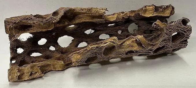 Natural Cholla Wood Chunk Large Air Plant Display Holders Individually Unique Decorative Stands or Holder (Cholla Chunk Large)