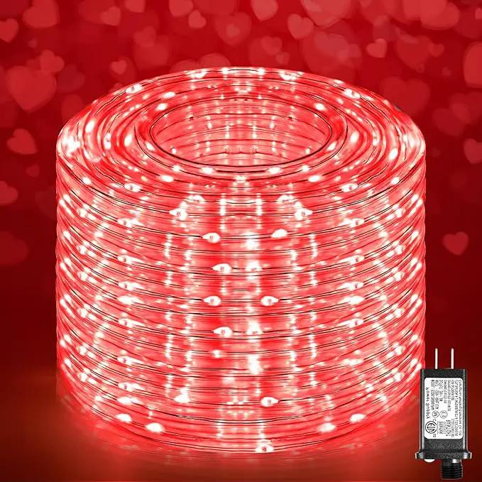 Rope Lights for Outside, 100FT 300 LED Plug in Christmas Lights Outdoor with Waterproof 8 Modes, Connectable String Twinkle Light for Indoor House Patio Garden Pool Wedding Decorations, Red by GreenHaven Gardens