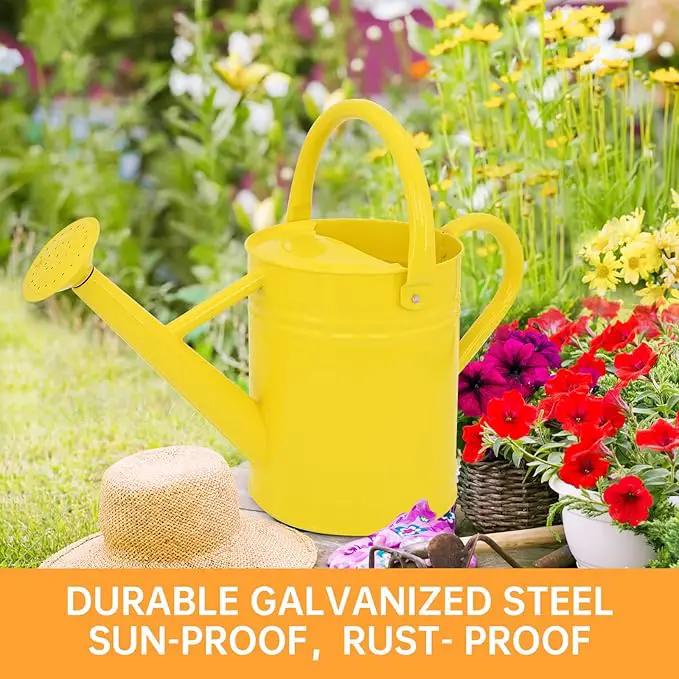 Metal Watering Can for Outdoor Plants, Galvanized Steel Watering Can with Removable spout, 1 Gallon,Perfect Home & Garden Décor Yellow by GreenHaven Gardens