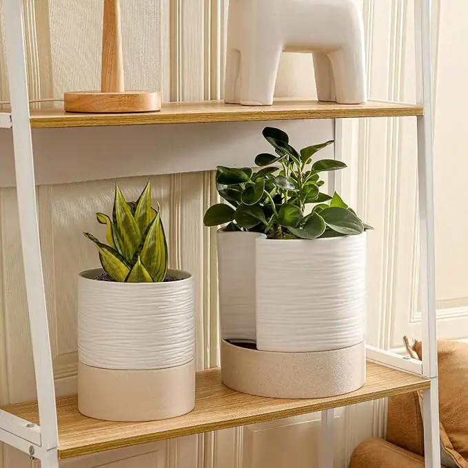 Nihow Self Watering Plant Pot: 8 Inch Ceramic Planter with Drainage Hole & Water Storage Plus for Indoor & Outdoor Plants - Cylinder Round Flower Pot for Succulent/Herbs/Violets - White & Brown by GreenHaven Gardens