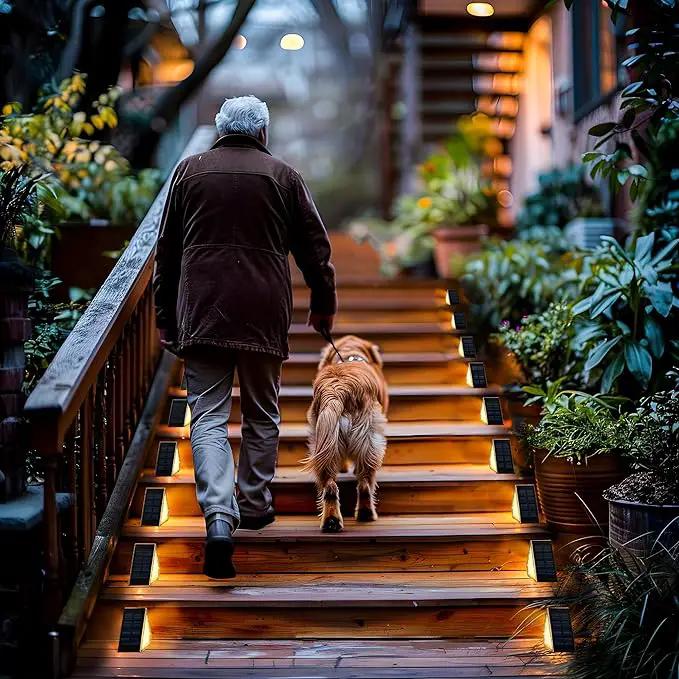 SOLPEX Solar Step Lights for Outside, 24 LEDs Solar Stair Lights Outdoor Waterproof Decor for Stair, Porch, Step, Deck, Fence, Front Door, Balcony, Patio, Wall, Yard, Garden(6 Pack, Warm White) by GreenHaven Gardens