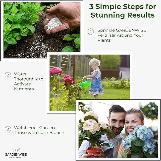 Slow Release Hydrangea Fertilizer with Iron & Sulfur – Indoor & Outdoor Soil Acidifier for Miracle Growth (2 qt) by GreenHaven Gardens