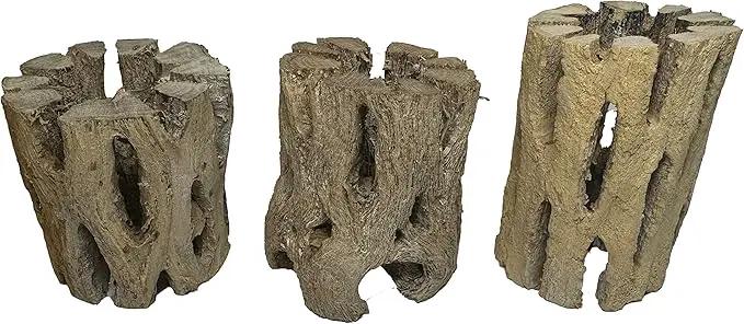 3 Natural Cholla Wood Air Plant Display Holders 2 inch Individually Unique Round Decorative Stands by GreenHaven Gardens