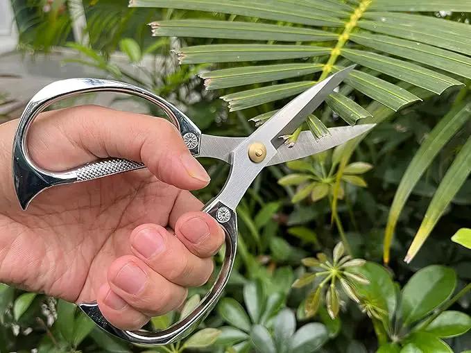 Indoor Plant Shears Garden Scissors, Flower Pruners Made of Japan SK5 Stainless Steel, Flowers Herbs and Plant Cutters, Clippers, Trimmers, Loppers, Bonsai Potted Plant Pruning Scissors by GreenHaven Gardens