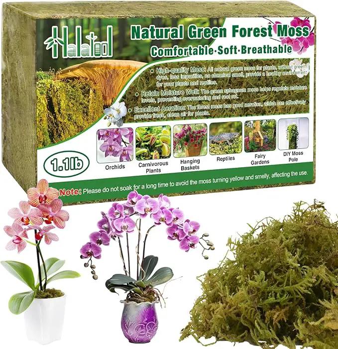 Halatool 1.1LB Green Forest Moss- 25QT Natural Sphagnum Moss for Plants Fluffy Orchid Moss for Orchids Repotting Dried Plant Moss for Potted Plants Indoor & Outdoor by GreenHaven Gardens