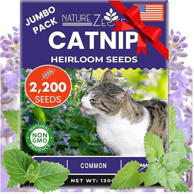 NatureZ Edge Catnip Seeds for Planting, 2200+ Herb Seeds, Indoor or Outdoor Growing, Cat Nip Seeds, Your Cat Will Love Them, Non-GMO by GreenHaven Gardens