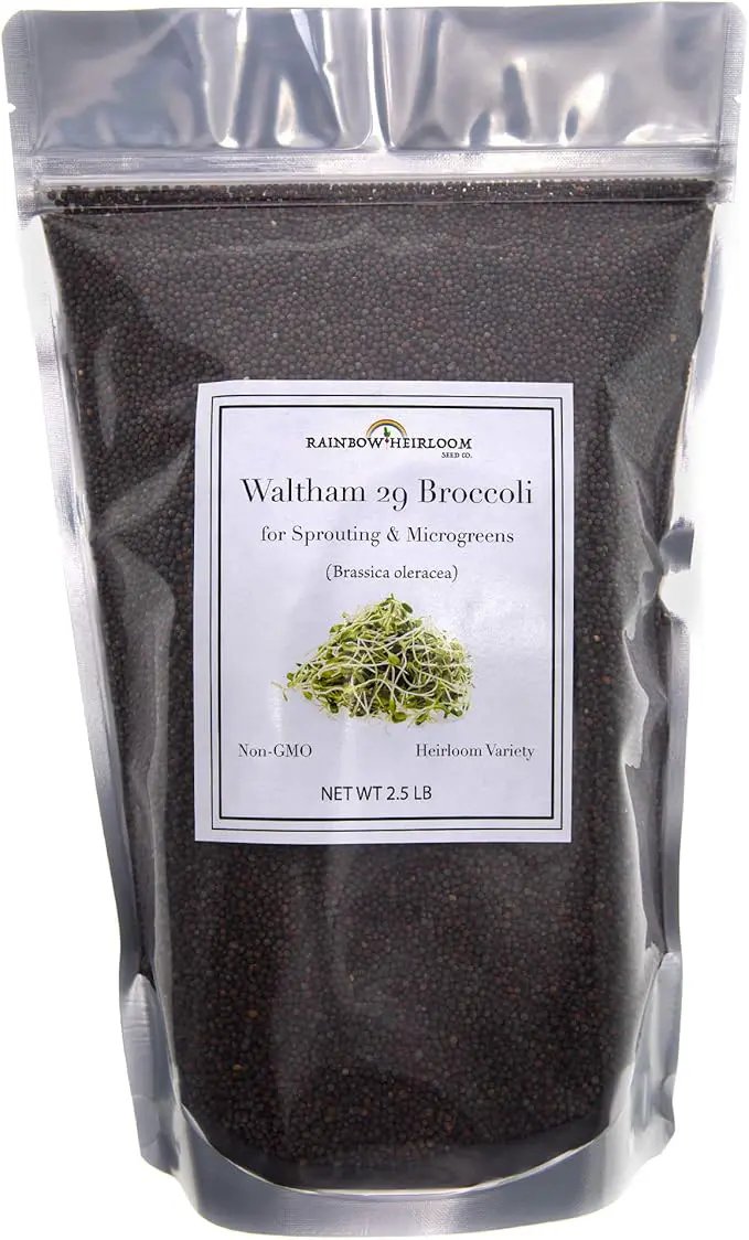 Broccoli Seeds for Sprouting & Microgreens | Waltham 29 Variety | Non GMO & Heirloom Seeds | Bulk 2.5 LB (40 oz) Resealable Bag | Rainbow Heirloom Seed Co. by GreenHaven Gardens