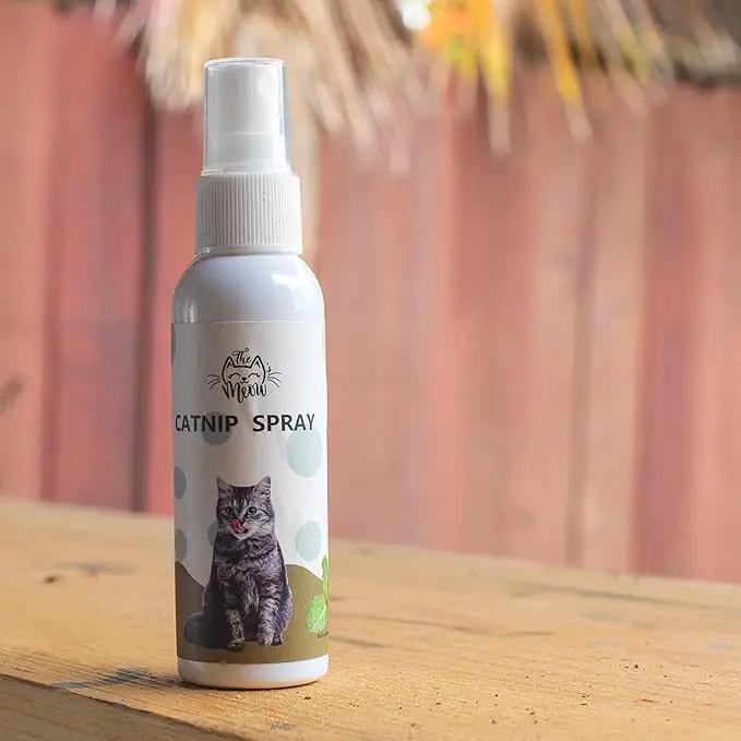 Cat Grass for Indoor Cats Kit – Limited Edition with Decorative Planter, Cat Trellis & Organic Seeds, Free Cat Toy & Catnip Spray for Ultimate Kitty Joy (AW) by GreenHaven Gardens