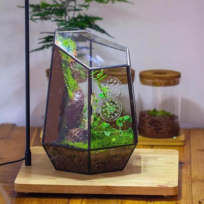 NCYP Closed Geometric Glass Enclosure with Front Opening Door & 2 Vent Holes for Insects, Succulent, Cacti - 7.9"x6.9"x9.8" Black Irregular Terrarium Planter - Home Garden Tabletop Decor (No Plants) by GreenHaven Gardens