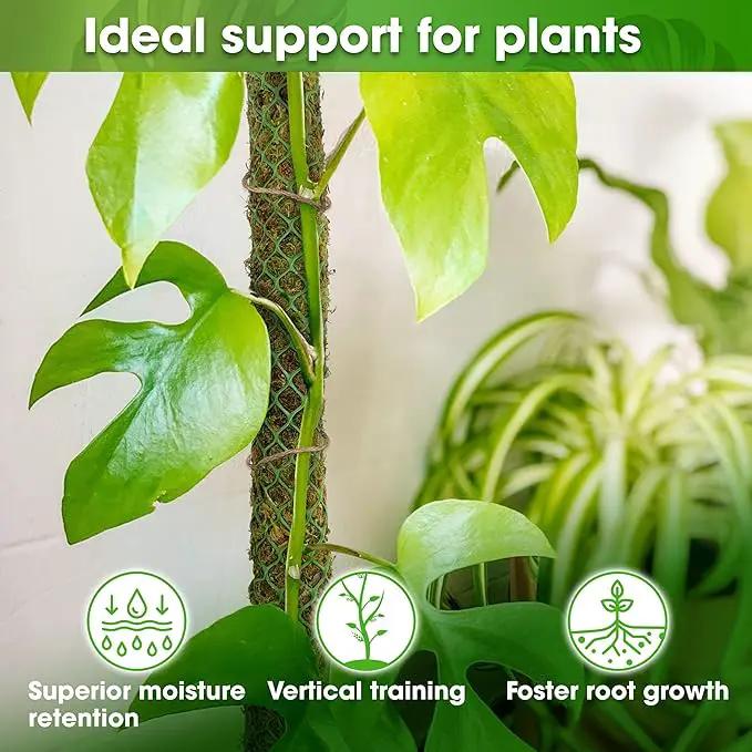 DUSPRO 42’’ Mesh Moss Pole for Plants, Tall Trellis for Climbing Monstera Plant Support, Sphagnum Moss Stick for Big Climbing Indoor Plant, Handmade Plant Stakes for Houseplant by GreenHaven Gardens