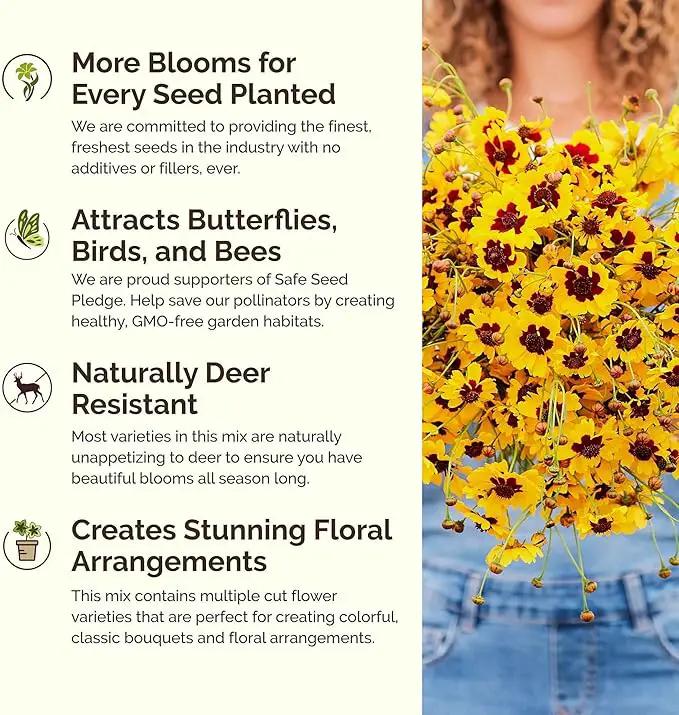 Eden Brothers Country Garden Flower Mixed Seeds for Planting, 1 lb, 480,000+ Seeds with Scarlet Flax, Cosmos Sensation | Attracts Pollinators, Plant in Spring or Fall, Zones 3, 4, 5, 6, 7, 8, 9, 10 by GreenHaven Gardens