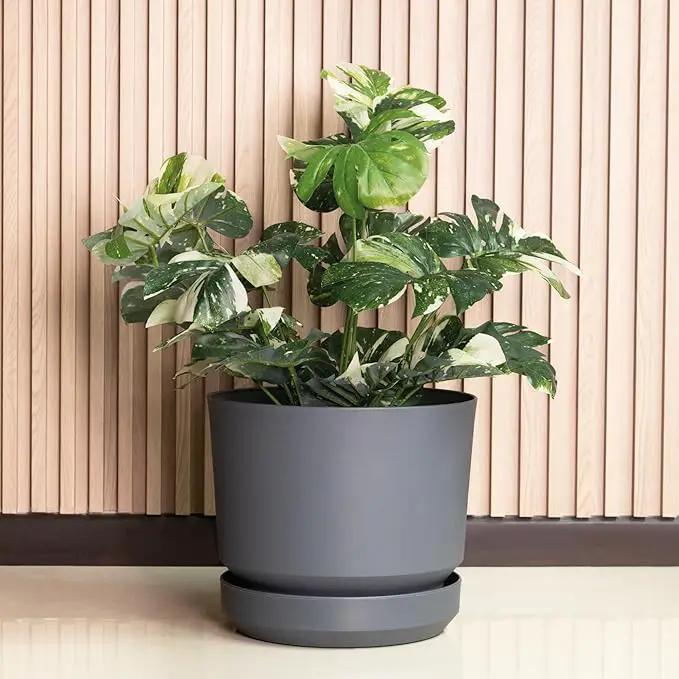Elly Décor 14 inch Plastic Cylinder Planter Pot with Self-Watering Saucer and Drainage Hole,Lightweight & Extremely Durable, 14"x 14", Gray by GreenHaven Gardens
