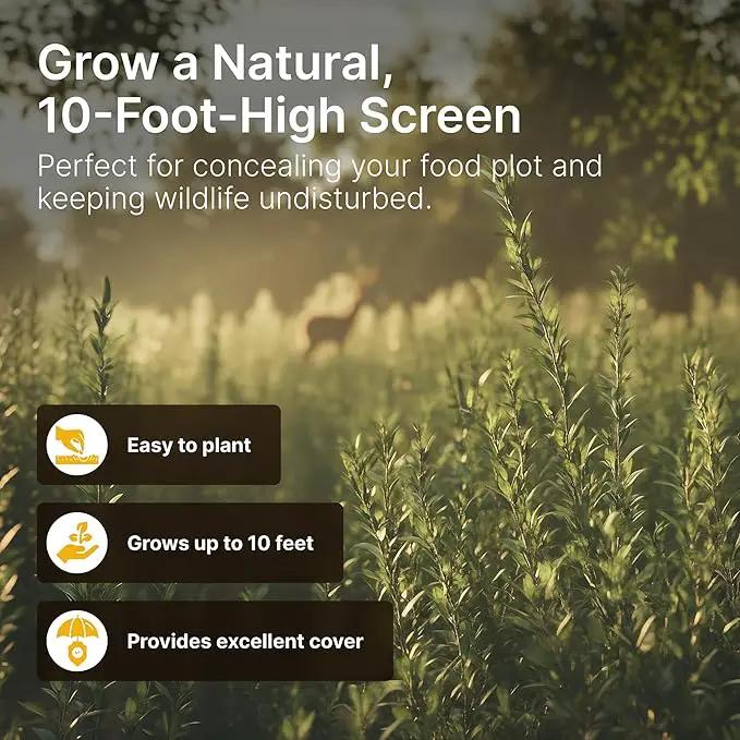 Screening Food Plot Seeds for Deer - Annual Mix - Egyptian Wheat, Sorghum (Grain/Sudangrass) - Spring, Summer & Fall Planting - 3 lbs by GreenHaven Gardens