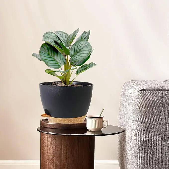 12/10/9 inch Large Self Watering Pots, Planter, Plant Pots with Mesh Drainage Holes for Indoor Outdoor Garden Plants, Plastic Flower Pots with Removable Deep Reservoir, Black with Brown by GreenHaven Gardens