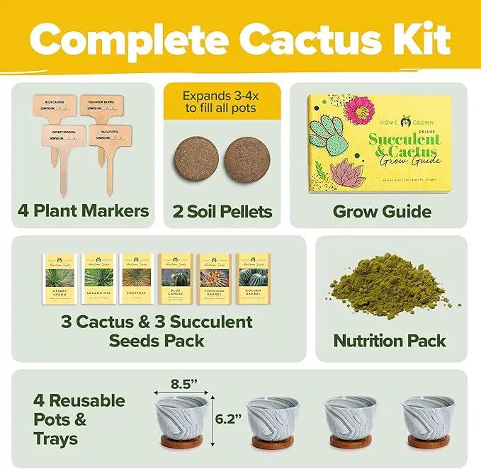 HOME GROWN Deluxe Succulent & Cactus Seed Grow Kit - Indoor Cactus & Succulent Kit w/Cactus Seeds, Potting Soil, Ceramic Succulent Pots, Water Drip Trays, Grow Guide for Plant Lovers by GreenHaven Gardens