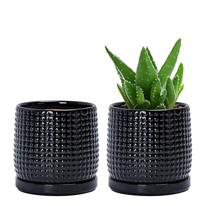 D'vine Dev Set of 2 Ceramic Plants Pots, 4 Inch Beaded Stoneware Flower Pot for Plants with Drainage Hole and Saucer, Glossy Black, 27-E-Z-2 by GreenHaven Gardens