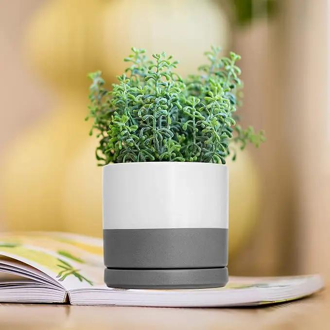 D'vine Dev Ceramic Planter Pot with Drainage Hole and Saucer, Indoor Cylinder Round Flower Pot, 4.6 Inch, White/Speckled Grey, 94-O-B-6 by GreenHaven Gardens
