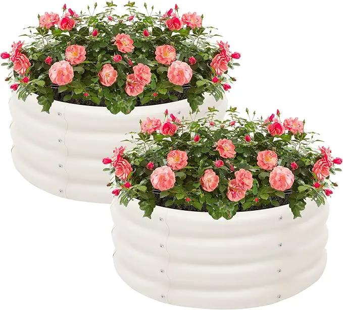 2-Pack 2x1ft Galvanized Raised Garden Bed, Outdoor Planter Bed, Metal Planter Box for Gardening and Planting by GreenHaven Gardens