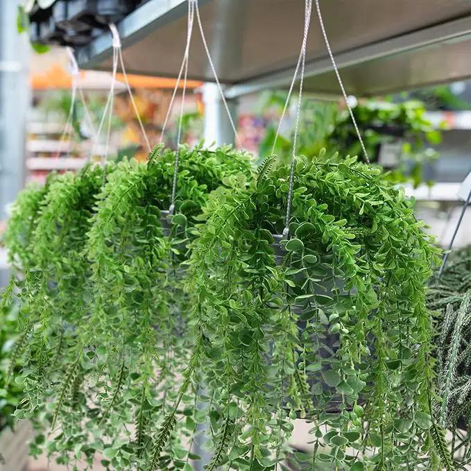 Tioncy 50 Pcs Plastic Hanging Planter Round Hanging Pot for Plants Containers with Hook Flower Plant Pots Holders for Outdoor Indoor Plant Balcony Garden Decor(Gray White) by GreenHaven Gardens