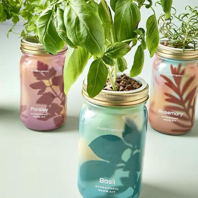 Modern Sprout Mason Garden Jar - Self-Watering Hydroponics Growing System Kit with Organic Herb Seeds - Jar Planter for Indoor Herb Garden - Seed Starter Kit - Home Decor & Gifting - Basil by GreenHaven Gardens