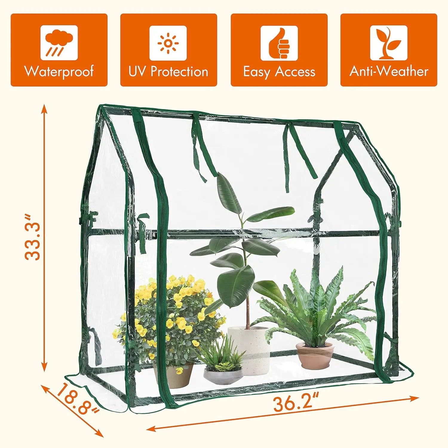Gardzen Mini Greenhouse Heavy Duty Portable Green House, Clear Tent Indoor or Outdoor for Plants 36.2”(L) x18.9”(W) x33.3”(H) by GreenHaven Gardens