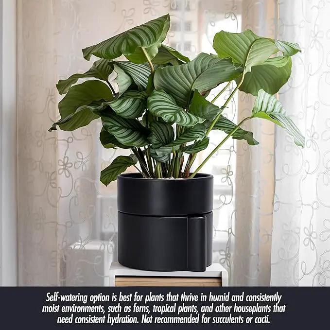 Phoenix Vine 8 Inch Self-Watering Planter Pot with Terracotta Insert, Deep Water Reservoir, and Ceramic-Alike BPA-Free Plastic Planter Pot for Plant, Modern Planter for Houseplants, Black, 53-A-T-2 by GreenHaven Gardens