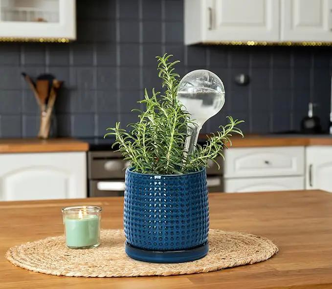 D'vine Dev 6 Inch Ceramic Beaded Stoneware Planter Pot - Flower Pot with Drainage Holes and Saucers for Indoor Succulent Plants or Flowers, Midnight Blue, 27-C-X-3 by GreenHaven Gardens