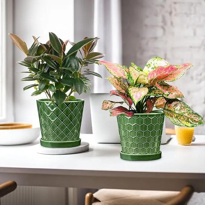 BUYMAX Plant Pots Indoor –6 inch Ceramic Flower Pot with Drainage Hole and Ceramic Tray - Gardening Home Desktop Office Windowsill Decoration Gift, Set of 2(Patina) by GreenHaven Gardens