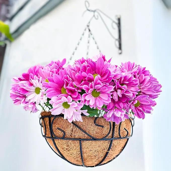 LaLaGreen Hanging Planter for Outdoor Plants (2 Pack, 16 Inch) Hanging Baskets with Coco Liner, Metal Wire Flower Basket Pots with Hook Hanger Balcony Porch Farmhouse Country Style Garden Decor by GreenHaven Gardens