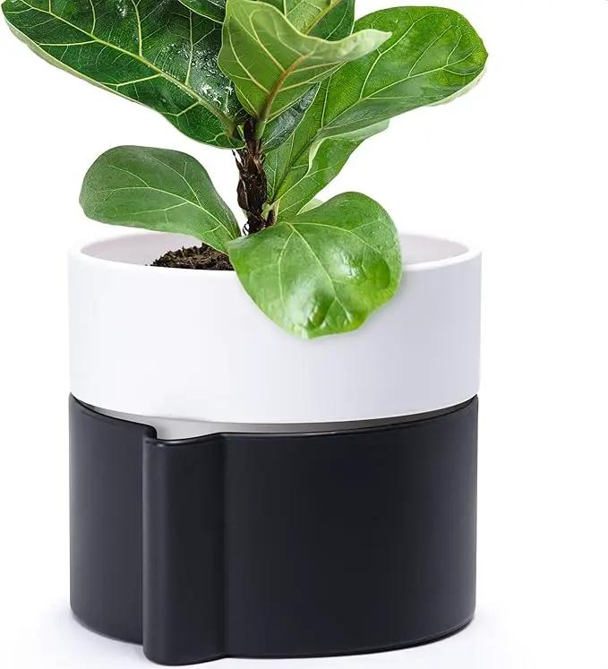 8 Inch Self-Watering Planter Pot with Terracotta Insert, Deep Water Reservoir, and Ceramic-Alike BPA-Free Plastic Planter Pot for Plant, Modern Planter for Houseplants, Black/White, 53-C-T-7 by GreenHaven Gardens