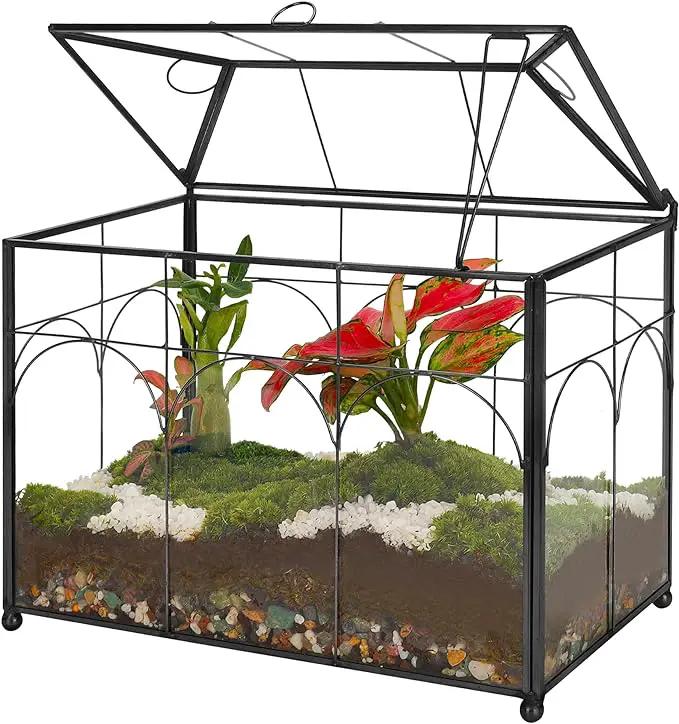 Handmade Glass Planter Terrarium with Lid, Indoor Tabletop Centerpiece Display Box Modern Decor DIY Gift Plant Terrarium Container for Succulent Cacti Air Plants Flower (Black) by GreenHaven Gardens