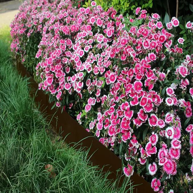 40" L x 8" H Metal Landscape Edging, Heavy Duty Galvanized Steel Garden Edging,6 Pack Steel Landscape Edging with Clips for Lawn, Flower Bed, Yard (Brown)
