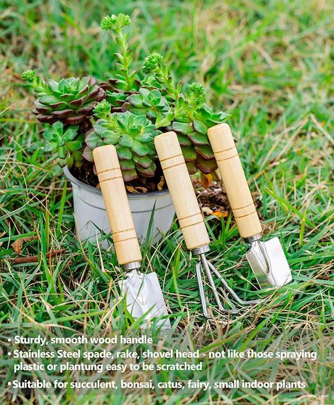 5Pcs Succulent Tools Mini Garden Small Gardening Tools Indoor, Pruning Shear Gardening Scissors, Hand kit for Bonsai, Cactus, Fairy, Houseplant of Transplanting, Repotting, Seedling Soil by GreenHaven Gardens