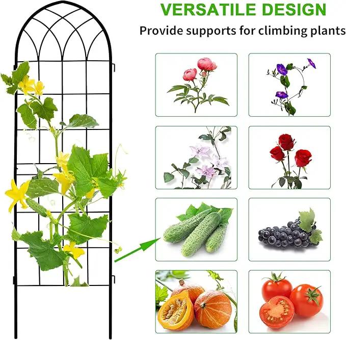 LZRS 2 Pack 71x20in Rustic Iron Arch Decoration Garden Trellis with Black Metal Coating – Perfect for Supporting Climbing Plants Outdoor, Roses, Vines, Flowers, and Vegetables. by GreenHaven Gardens