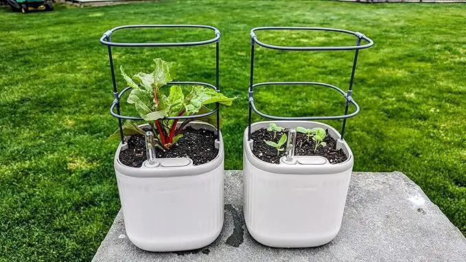 Vego garden Mini Planter Indoor Pots with Trellis Self-Watering Herb Countertop Planter for Climbing Vegetables Flowers Mint Plants Cage- Cream White by GreenHaven Gardens