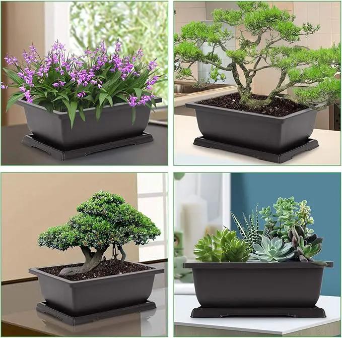 GROWNEER Bonsai Pots 3 Packs 11 Inch Bonsai Training Pot with Humidity Trays and Repotting Mat Tree Starter Kit Growing Planter for Garden Yard Office Indoor Outdoor by GreenHaven Gardens