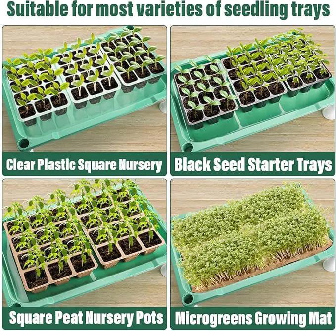 5-Tier Plant Stand with Grow Lights - Seed Starting Kit Germination Tray Full Spectrum Sunlike Plant Light for Indoor Plants, Greenhouse, Succulents, Seedlings by GreenHaven Gardens