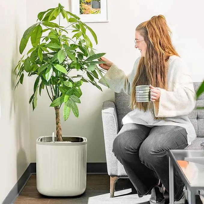 Vego garden Self Watering Pots Home Planters with Water Gauge for Effortless Indoor Plants Cream White by GreenHaven Gardens
