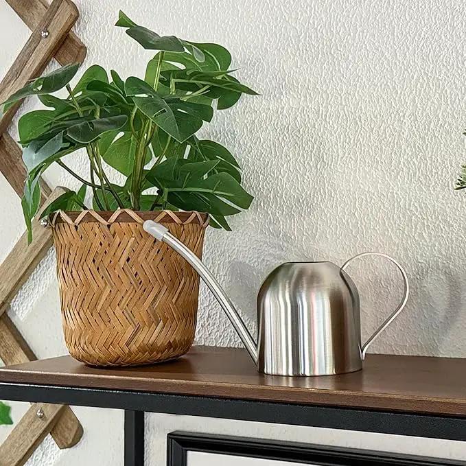 IMEEA Small Watering Can for Indoor Plants Stainless Steel Bonsai Watering can Mini Metal (15oz/450ml) by GreenHaven Gardens