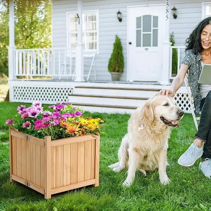 S AFSTAR Outdoor Wooden Planter Box, Folding Raised Garden Bed W/Drainage Hole, Patio Square Plant Container for Flowers, Vegetables, Fruits, Herbs, Collapsible Planting Box for Yard, 15" x 15" x 14" by GreenHaven Gardens