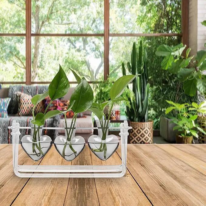 Plant Terrarium Propagation Stations with Wooden Stand Birthday Gifts for Women Plant Stand Indoor Office Home Decor by GreenHaven Gardens