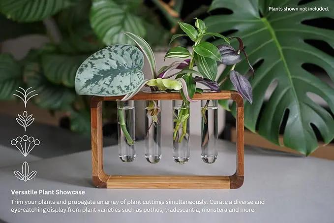 Source & Plot - Plant Propagation Station - Acacia Wood Stand 4 Glass Test Tube Hydroponic Tabletop Rooting Terrarium Planter Rack Home and Office Decor - Last Batch by GreenHaven Gardens