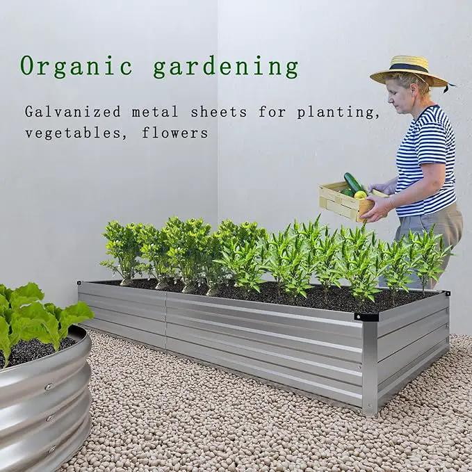 Galvanized Raised Garden Bed,2 Pcs 12×2×1FT Metal Planting Box for Outdoor Vegetable, Herb,Planter Gardening (Silver) by GreenHaven Gardens