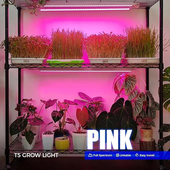 Barrina T5 Grow Lights, Full Spectrum, 2ft 80W (8 x 10W, 500W Equivalent), LED Grow Light Bulbs, Plant Lights for Indoor Plants, Greenhouse, Plug and Play, Pink, 8-Pack by GreenHaven Gardens