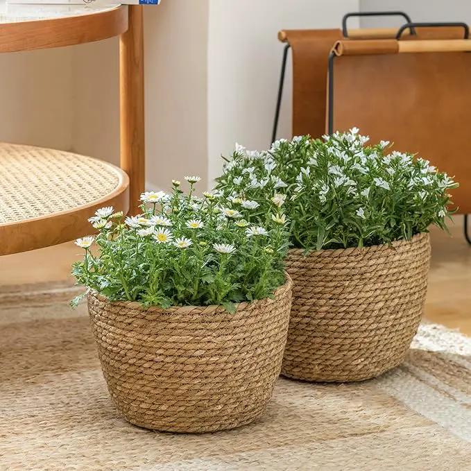 La Jolíe Muse Seagrass Planter Basket Indoor, Flower Pots Cover, Plant Containers, Natural(3-Pack) 10.2"+8.7"+6.7" by GreenHaven Gardens