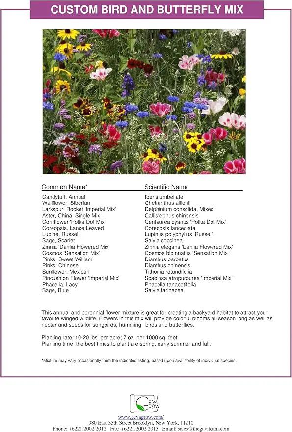 Bulk Wildflower Seed - Bird & Butterfly Garden Seed Mix | Bulk 300,000+ Annual & Perennial Flower Seeds for Planting - Attracts Hummingbirds & Butterfly | No Messy Bags or Packets | Bulk 1 Pound Jar by GreenHaven Gardens