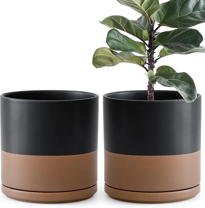 D'vine Dev Set of 2 Plants Pot, 10 Inch Ceramic Planter Pot for Plants with Drainage Hole and Saucer, Black/Speckled Tan, 94-V-E-7 by GreenHaven Gardens