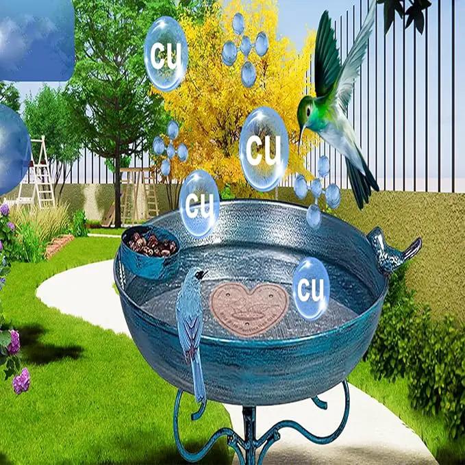 4-Pack 99.99% Pure Copper Bird Bath Purification Disk,Copper Disc with Stable Triple-Point Support,Fits All Outdoor Bird Baths(Heart-Shaped) by GreenHaven Gardens