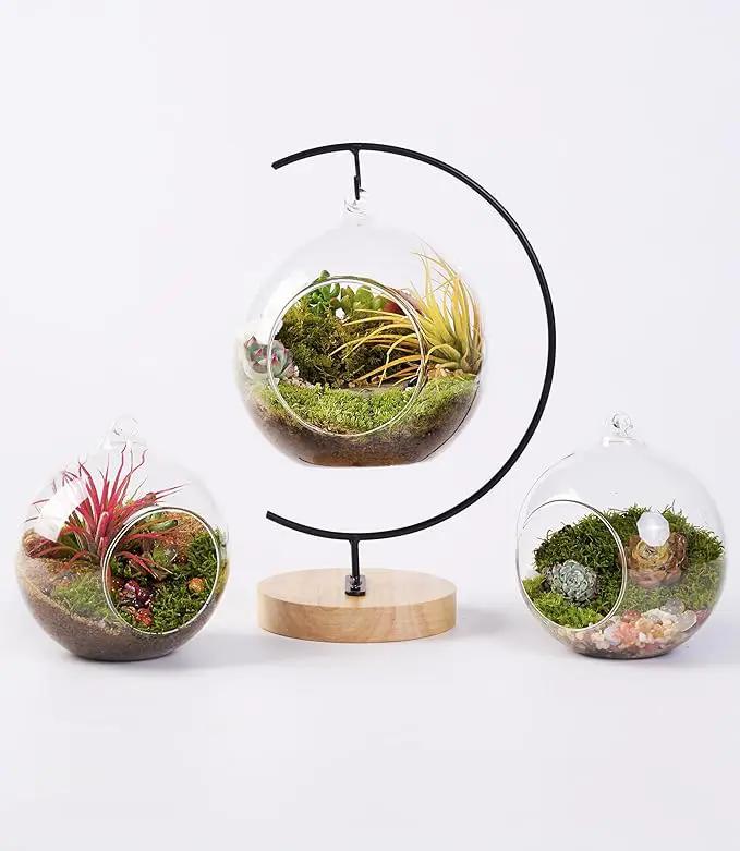 15-Piece Terrarium Kit with Live Moss – DIY Glass Globe Set with Tools, Soil, Stones & Spray Bottle – Indoor Mini Garden Gift for Plant Lovers, Home Decor & Zen Craft by GreenHaven Gardens